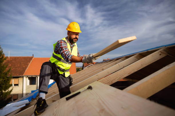 Best Roof Maintenance and Cleaning  in Riverton, IL